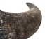 Large North American Buffalo Horn Cap: #1 Grade - 576-LM1-AS (Y3L)