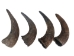 Large North American Buffalo Horn Cap: #2 Grade - 576-LM2-AS (Y3K)