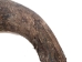 Large North American Buffalo Horn Cap: #2 Grade - 576-LM2-AS (Y3K)