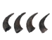 Large North American Buffalo Horn Cap: #3 Grade - 576-LM3-AS (Y3KRC)