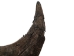 Large North American Buffalo Horn Cap: #3 Grade - 576-LM3-AS (Y3KRC)