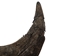 Large North American Buffalo Horn Cap: #3 Grade - 576-LM3-AS (Y3K)