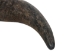 North American Buffalo Horn Cap: #1 Grade - 576-M1-AS (Y3L)