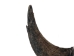 North American Buffalo Horn Cap: #3 Grade - 576-M3-AS (Y3KRT)