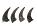 North American Buffalo Horn Cap: #3 Grade - 576-M3-AS (Y3KRT)
