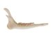 Deer Jaw Bone - 584-40 (Y2JC07)