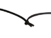 Real Rattlesnake Fang Necklace - 598-J90-AS (Y1EC01)