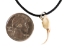 Real Rattlesnake Fang Necklace - 598-J90-AS (Y1EC01)