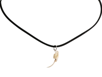 Real Rattlesnake Fang Necklace 