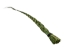 Sweetgrass Braid: 15" to 20" - 63-03-15 (Y3B)