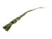 Sweetgrass Braid: 15" to 20" - 63-03-15 (Y3B)