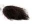 Single Drawn Horse Tail Hair: Black: 22" to 25" (lb)  - 702-BKTS22 (Y1K)
