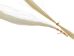 Violin Bow Horse Hair: 35" (5 g) - 702V-35-5 (Y1KRH)