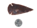 Flint Arrowhead: XL: 3" - 76-09 (Y1LC04)