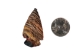 Fancy Jasper Arrowhead: 1.5" - 76-JF15 (Y1MC19)