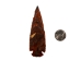 Fancy Jasper Arrowhead: 4" - 76-JF40 (Y1MC19)