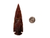 Fancy Jasper Arrowhead: 4.5" - 76-JF45 (Y1MC19)