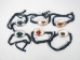 Clear Resin Bug Bracelet: Assorted - 1010V-BR-AS (Y2KC16)