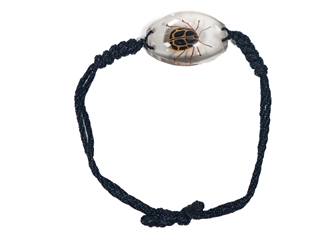 Clear Resin Bug Bracelet: Assorted 