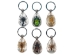 Clear Resin Bug Keychain: Assorted - 1010V-KC-AS (Y2JC05)