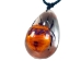 Clear Resin Bug Necklace: Assorted - 1010V-NL-AS (Y2KC04)