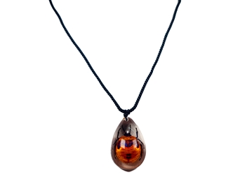 Clear Resin Bug Necklace: Assorted 
