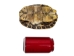 River Cooter Turtle Shell: 6" to 7" - 1077-0607 (Y3K)
