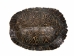 River Cooter Turtle Shell: 7" to 8" - 1077-0708 (Y3K)