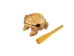 Frog Instrument: 4" to 5" - 1079-FR4 (Y2HC11)