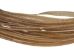 Water Buffalo Rawhide Lacing: 1/4" (60 ft) - 1107-07-14 (Y1X)