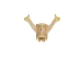Coyote Vertebra: Assorted Shapes and Sizes - 1116-42 (Y2DC01)