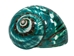 Polished Green Turbo Imperialis: Large - 1143-P-GN-L (L31)