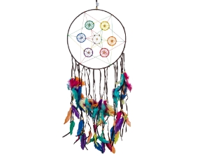 Chakra Dreamcatcher: 12.75" 