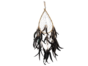 Teardrop Branch Dreamcatcher: 7" 