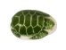 Tagua Nut Carving: Green Sea Turtle - 1153-C641 (Y1ERF)