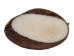 Tagua Nut Carving: Bear and Fish - 1153-C668 (Y1ERF)