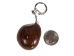 Tagua Nut Keychain: Turtle - 1153-K387 (Y2HC06)