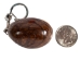 Tagua Nut Keychain: Brown Bear - 1153-K482 (Y2HC07)