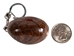 Tagua Nut Keychain: Brown Bear - 1153-K482 (Y2H)