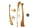 Assorted Loose Bones (lb) - 1180-A-LB (Y1L)