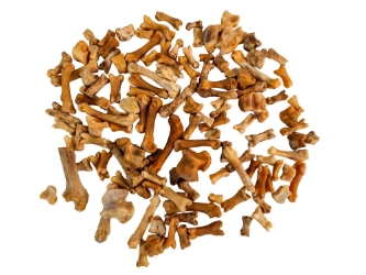 Black Bear Foot and Toe Bones (1 lb) 