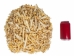 Assorted Small & Broken Loose Bones (5 lbs) - 1180-SB-AS (Y1L)
