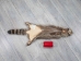 Raccoon Skin: Trading Post (#1) Grade: <22" - 126-1-S (Y2LWR)