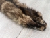 Raccoon Skin: Craft (#2) Grade: 22" to 23" - 126-2-M (Y1KRJ)