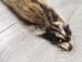 Raccoon Skin with Feet: Gallery Item - 126-WF-G04 (Z)