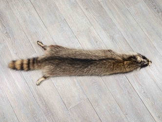 Raccoon Skin with Feet: Gallery Item 