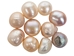 Medium-Grade Craft Pearls - 1264-E200 (9U12)
