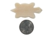 Turtle Bone Pendant with Hole: Small - 128-110SA (9UA3)