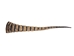 Armadillo Tail: Large: 14"+ - 1310-TL-AS (9UL12)