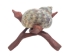 Brown Wood Tripod: 8" - 1313-08 (Y3KRE)